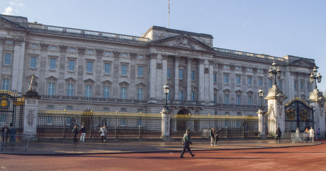 Man Who Trespassed In Buckingham Palace Said I Want To See The Aydintepemedya